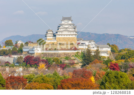 秋の兵庫県姫路市　世界遺産　国宝姫路城と紅葉 128268818