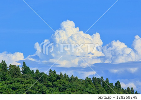 湧き上がる夏雲 湧き上がる夏雲 128269249