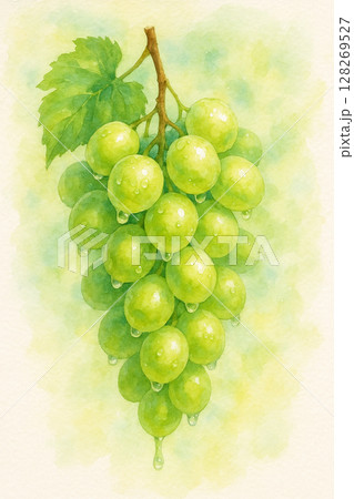 透明感あるシャインマスカットの房　水彩画 128269527