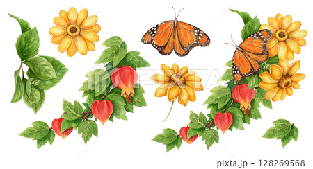 Set with abuchiron twig and monarch butterfly in realistic watercolor style. Yellow sunflower and botanical elements form vivid tropical arrangement. Perfect for summer design and floral art use. 128269568