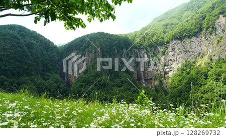 米子大瀑布 128269732