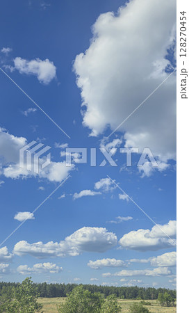 Blue sky with clouds flying birds and green branches Summer nature. White clouds 128270454