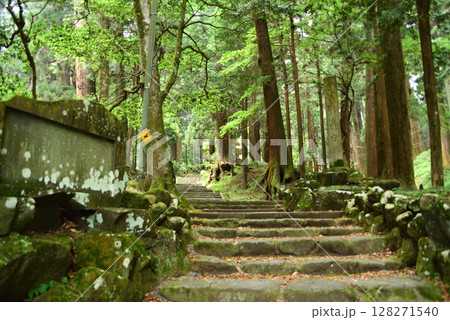 大雄山最乗寺 参道 大雄山最乗寺 参道 128271540