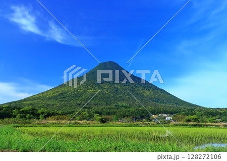 【鹿児島県】薩摩の新緑な開聞岳（薩摩富士） 128272106