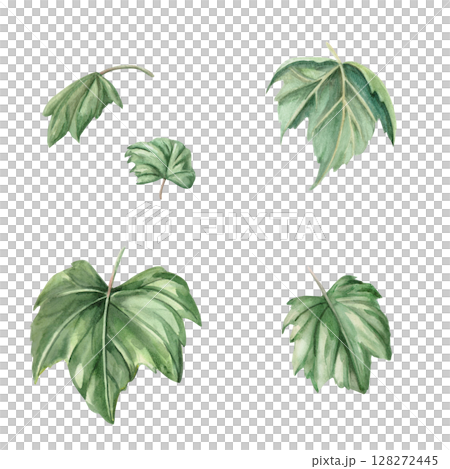 Set of individual grape leaves. Isolated watercolor illustration in realistic style for wine shop design, bottle labels, bar menu, printing on clothes and posters. 128272445