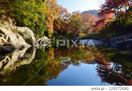 嵐山(らんざん)渓谷の紅葉 嵐山(らんざん)渓谷の紅葉 128272680