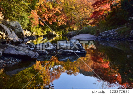 嵐山(らんざん)渓谷の紅葉 嵐山(らんざん)渓谷の紅葉 128272683