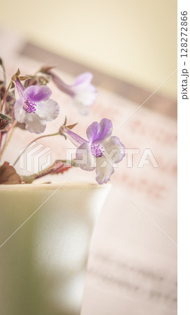 Nature background image. Close-up of flower and Vintage tone color scheme. flowers of sinningia tree. Selective focal and Space on the side for text entry. Nature background image. Close-up of flower and Vintage tone color scheme. flowers of sinningia tree. Selective focal and Space on the side for text entry. 128272866