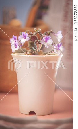 Nature background image. Close-up of flower and Vintage tone color scheme. flowers of sinningia tree. Selective focal and Space on the side for text entry. 128272870