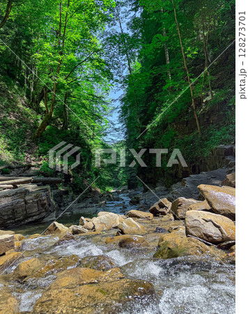 Water flows gently through rocky bed in serene forest. Sunlight filters through dense trees creating peaceful atmosphere. Concept of nature exploration, eco-tourism, outdoor adventure. Water flows gently through rocky bed in serene forest. Sunlight filters through dense trees creating peaceful atmosphere. Concept of nature exploration, eco-tourism, outdoor adventure. 128273701
