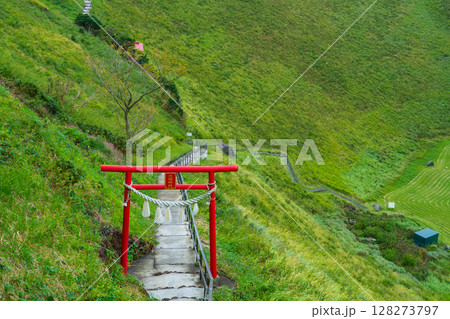 静岡県伊東市　大室山の火口にある浅間神社の鳥居 128273797