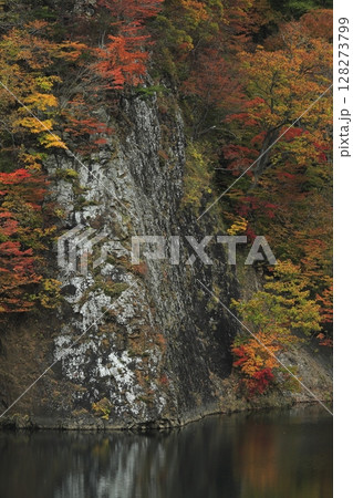 北海道森町に在る駒ヶ岳ダムの崖の紅葉 北海道森町に在る駒ヶ岳ダムの崖の紅葉 128273799