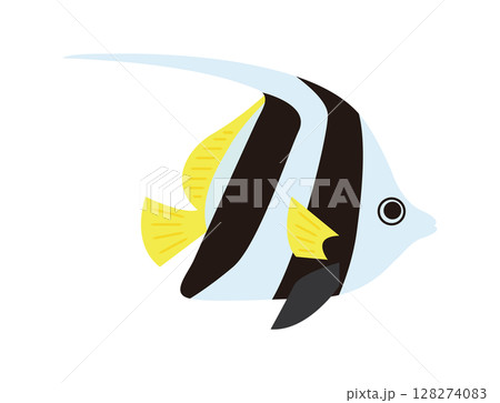 熱帯魚 ハタタテダイ 白黒黄色 海の魚 イラスト 熱帯魚 ハタタテダイ 白黒黄色 海の魚 イラスト 128274083
