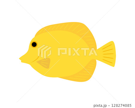 熱帯魚　キイロハギ　黄色　海の魚　イラスト 128274085