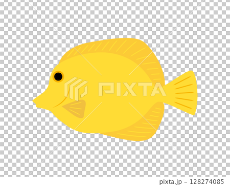 熱帯魚　キイロハギ　黄色　海の魚　イラスト 128274085