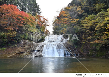 晩秋の房総半島、粟又の滝(養老の滝)、滝壺から滝正面を撮る 128274469
