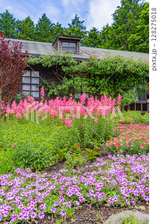 （大分県）くじゅう花公園、初夏の花々 128275018
