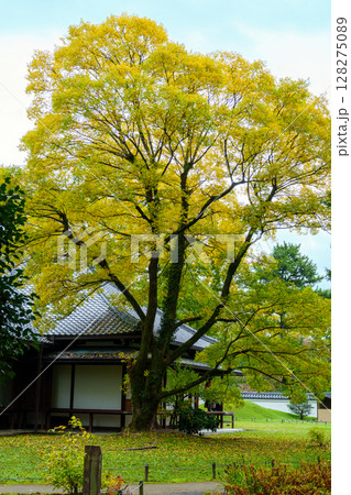 京都御苑の閑院宮邸跡 128275089