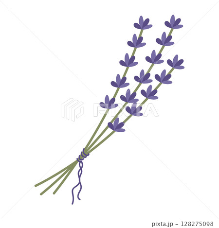 Bouquet of lavender twigs tied with a ribbon. Beautiful lilac flowers. The vector illustration is isolated. For design or postcard Bouquet of lavender twigs tied with a ribbon. Beautiful lilac flowers. The vector illustration is isolated. For design or postcard 128275098