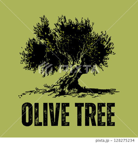 Vintage olive tree illustration, rustic black and green nature art design Vintage olive tree illustration, rustic black and green nature art design 128275234