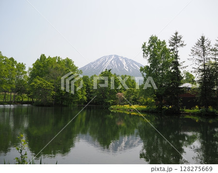 羊蹄姿見池の爽やかな風景 羊蹄姿見池の爽やかな風景 128275669