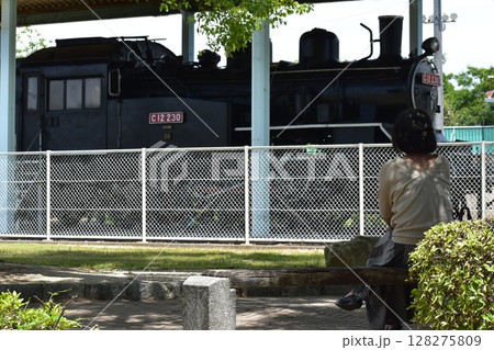 昭和を駆け抜けた蒸気機関車 昭和を駆け抜けた蒸気機関車 128275809
