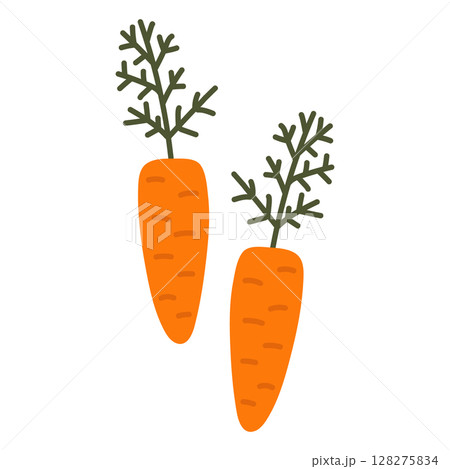 Carrots are organic, healthy food. Vector illustration of a vegetable isolated on a white background. Carrots are organic, healthy food. Vector illustration of a vegetable isolated on a white background. 128275834