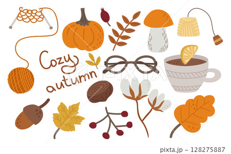 Autumn is a cozy set of elements. Knitting, pumpkin, mushroom, acorn, glasses, cotton, a cup of tea with lemon. Vector illustration collection for falling design or decor. 128275887
