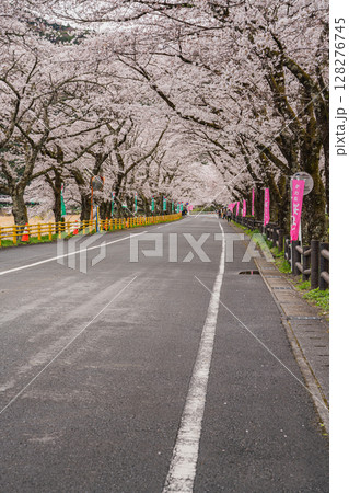 島田市川根町の新桜トンネルの風景(静岡県) 128276745