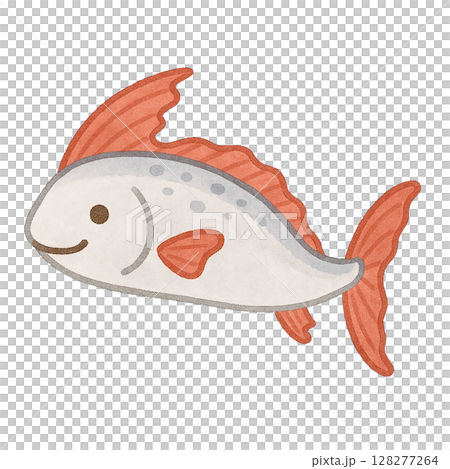 [海洋生物]皇帶魚的插圖 128277264