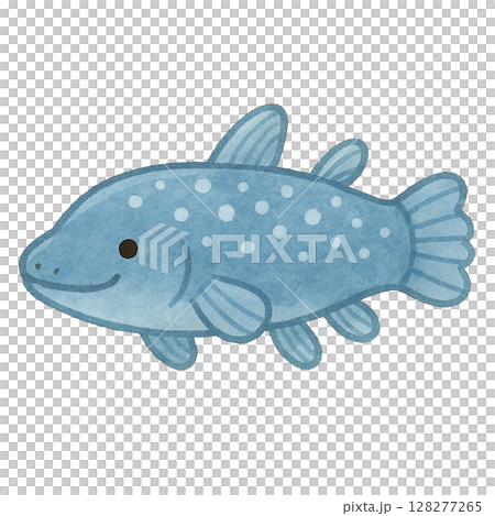 [海洋生物] 腔棘魚的插圖 128277265