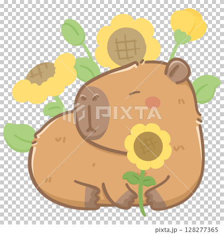 Capybara with sunflower  128277365