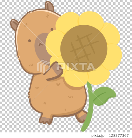 Capybara with sunflower  128277367