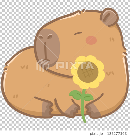 Capybara with sunflower  128277368