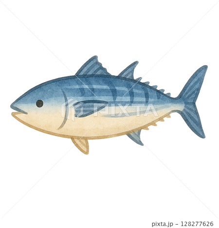 【海の生きもの】カツオのイラスト 【海の生きもの】カツオのイラスト 128277626