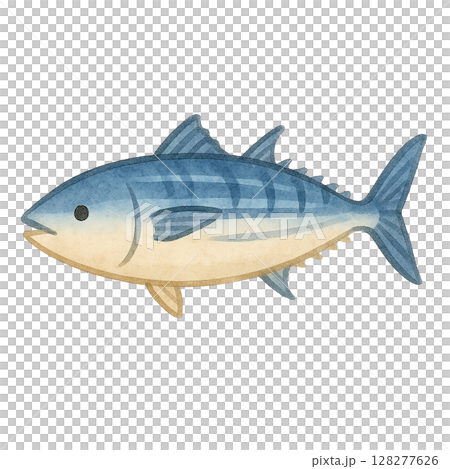 【海の生きもの】カツオのイラスト 【海の生きもの】カツオのイラスト 128277626