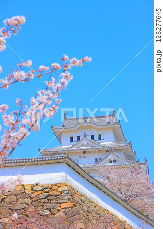 兵庫県姫路市、満開の桜と姫路城の風景 兵庫県姫路市、満開の桜と姫路城の風景 128277645