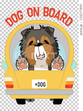 A dog is riding in a car with a happy smile 128277897
