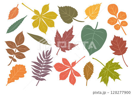 Autumn Leaves Set Vector Illustration on White Background Autumn Leaves Set Vector Illustration on White Background 128277900