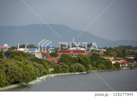 THAILAND RAYONG MANGROVE WALK 128277945