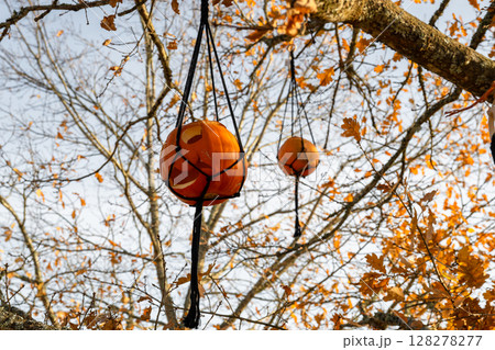 Carved Halloween pumpkins hanging from autumn tree branches 128278277