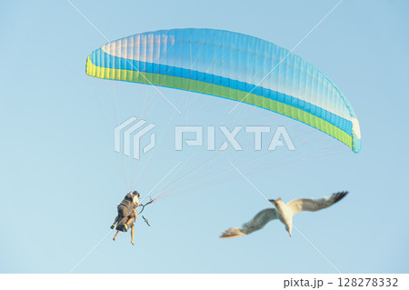 Paragliding with Bird. Paraglider soars high in clear blue sky next to flying seagull, soft focus, real life. Concept of freedom, flight, summer active lifestyle, connection with nature Paragliding with Bird. Paraglider soars high in clear blue sky next to flying seagull, soft focus, real life. Concept of freedom, flight, summer active lifestyle, connection with nature 128278332