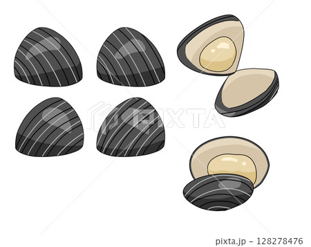 シジミのイラスト 128278476