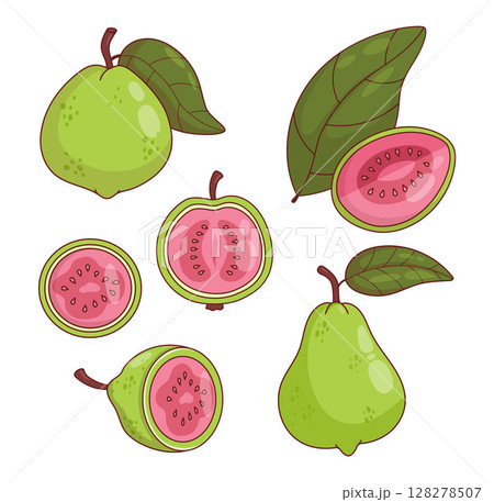 Pink Guava Fruit Collection. Isolated tropical product Tree on White Background. Vector illustration. Pink Guava Fruit Collection. Isolated tropical product Tree on White Background. Vector illustration. 128278507