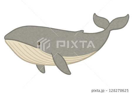 【海の生きもの】シロナガスクジラのイラスト 128278625