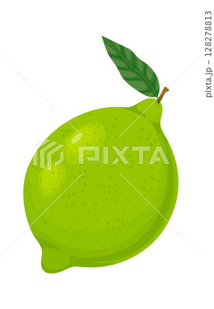 Vibrant green lime with attached leaf, showcasing freshness and health, perfect for food and beverage illustrations, against a clean white background 128278813