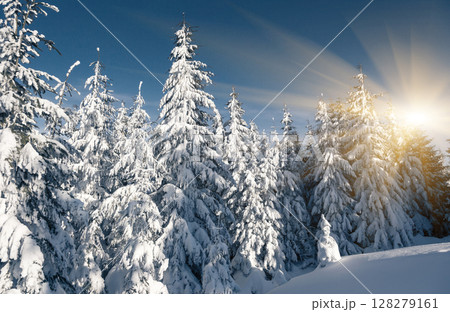 winter 128279161