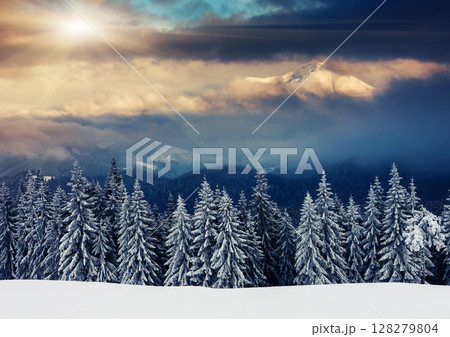 winter winter 128279804