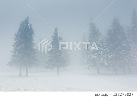 winter 128279827