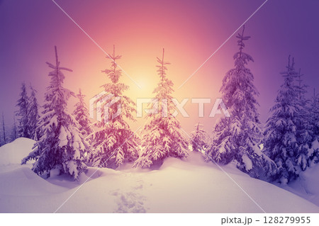 Amazing winter in the mountains Amazing winter in the mountains 128279955